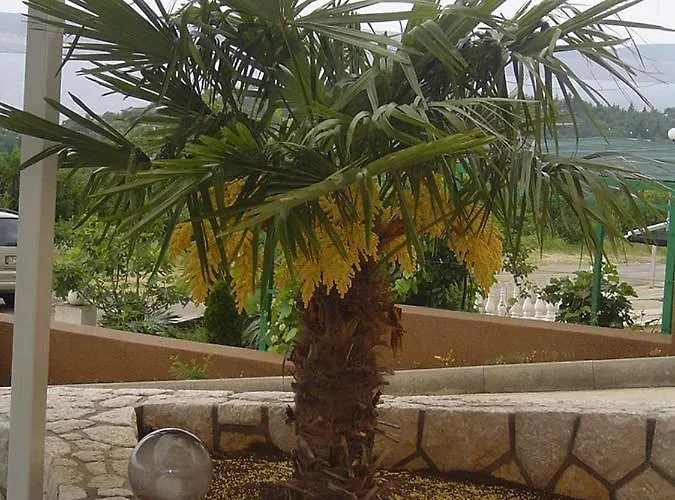 In With Sea View, Balcony, Air Conditioning, Wifi 4623-7 Appartamento *